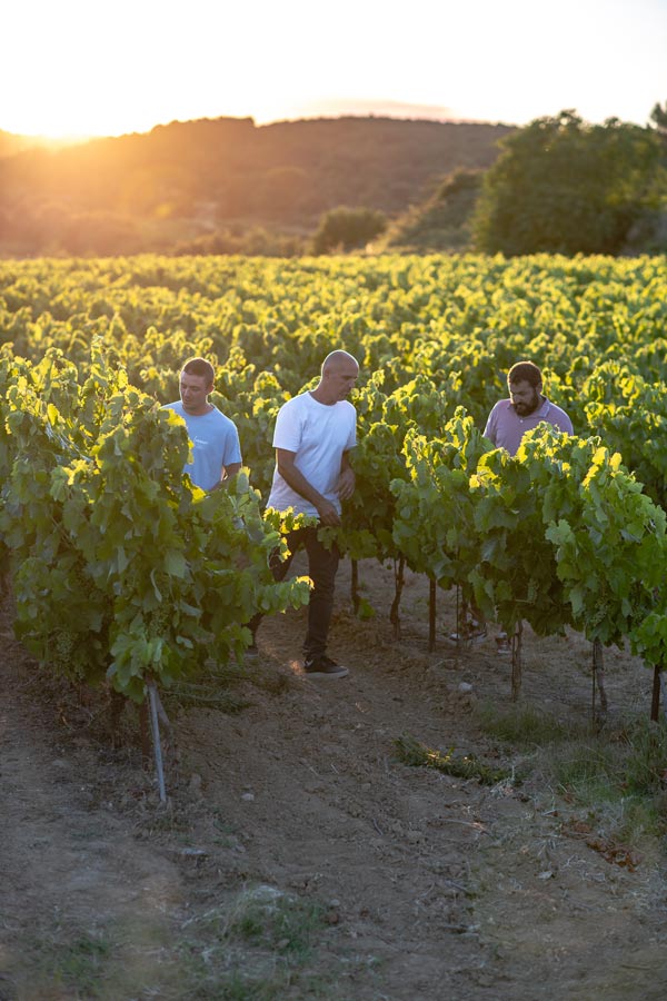 cave_cavillargues_vin_rose_vigneron_b_1366px