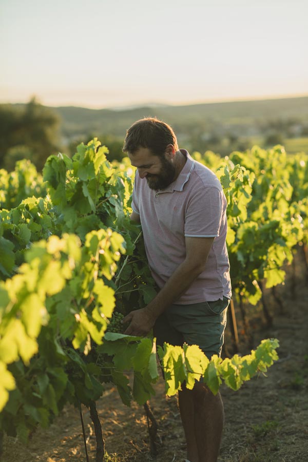 cave_cavillargues_vin_rose_vigneron_g_1366px